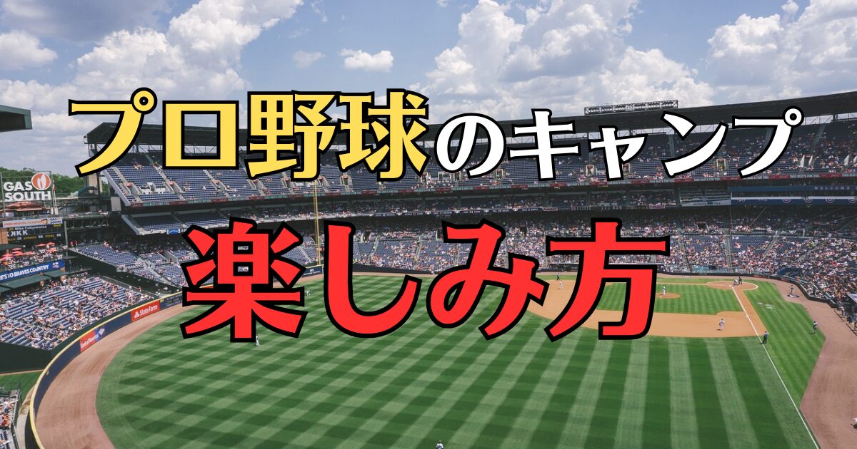 プロ野球キャンプ　楽しみ方